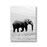 1-elephant-canvas-painting-elephant-stock-canvas-black-and-white
