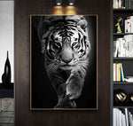 4-black-and-white-tiger-print-tiger-prints-the-alpha-tiger